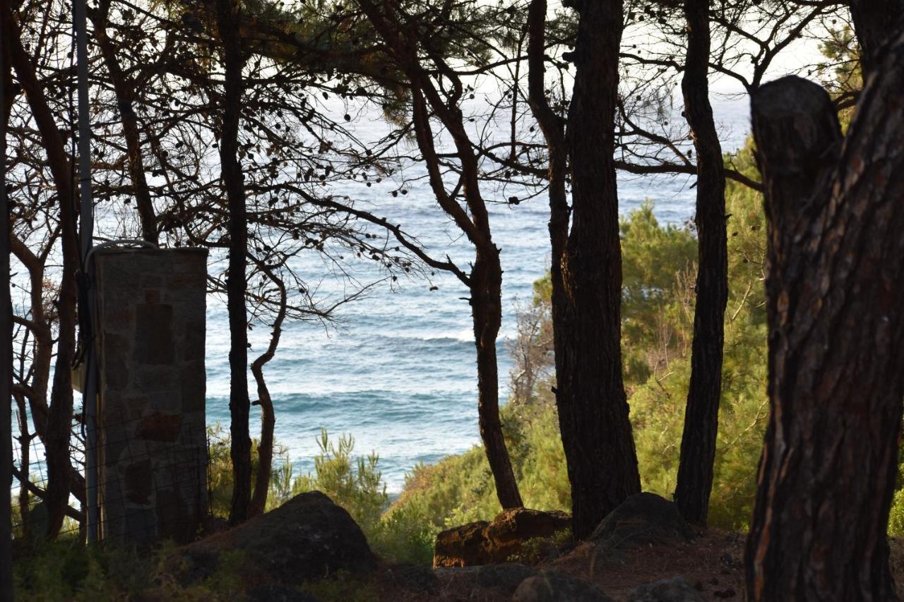 فيلا Dolihis Gi, Poseidon Gialiskari  المظهر الخارجي الصورة